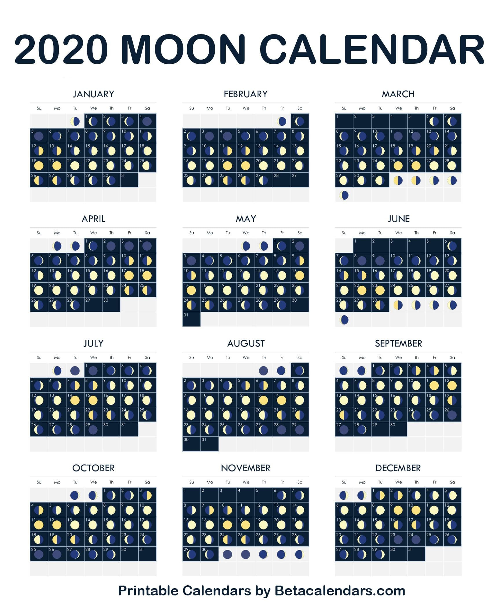 2020 Moon Calendar | October Calendar, Moon Calendar, Moon