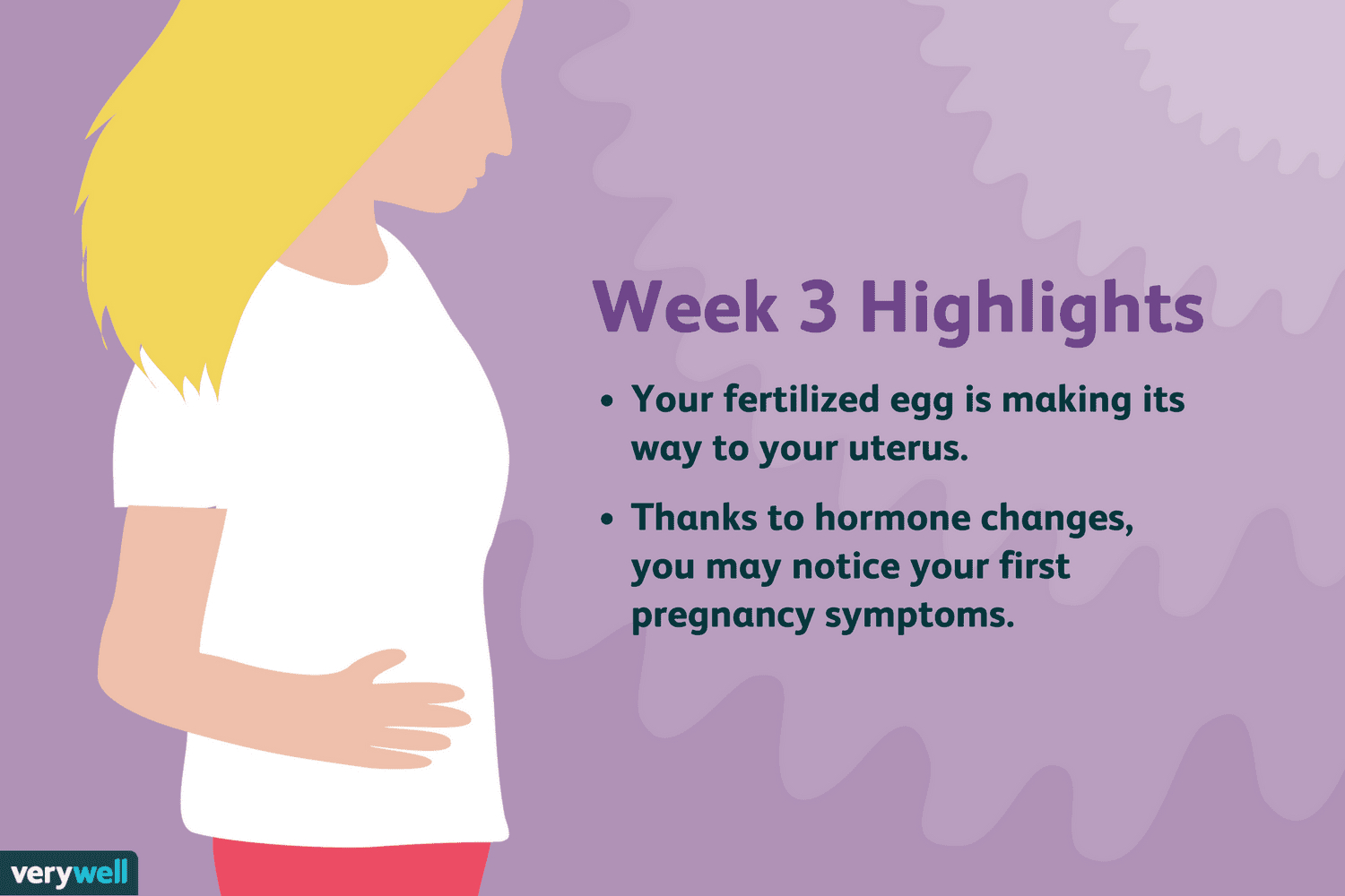 3 Weeks Pregnant: Symptoms, Baby Development, And More