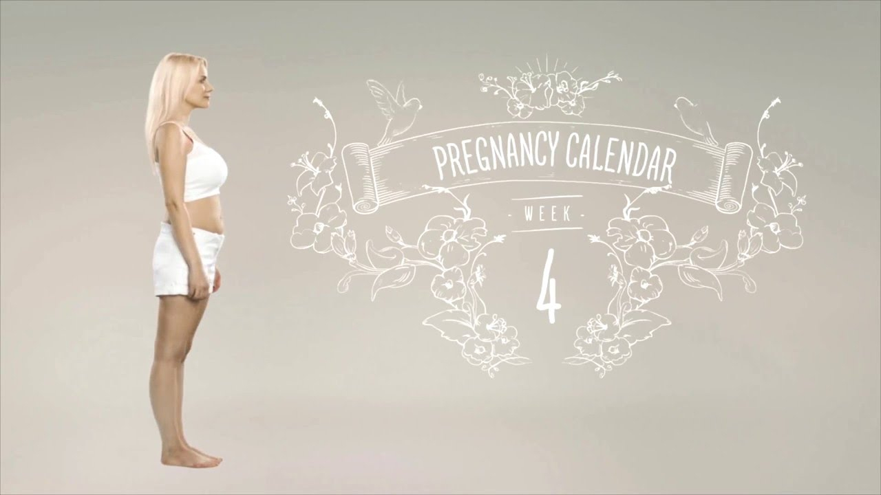 4 Weeks Pregnant - Pregnancy Calendar Weekweek