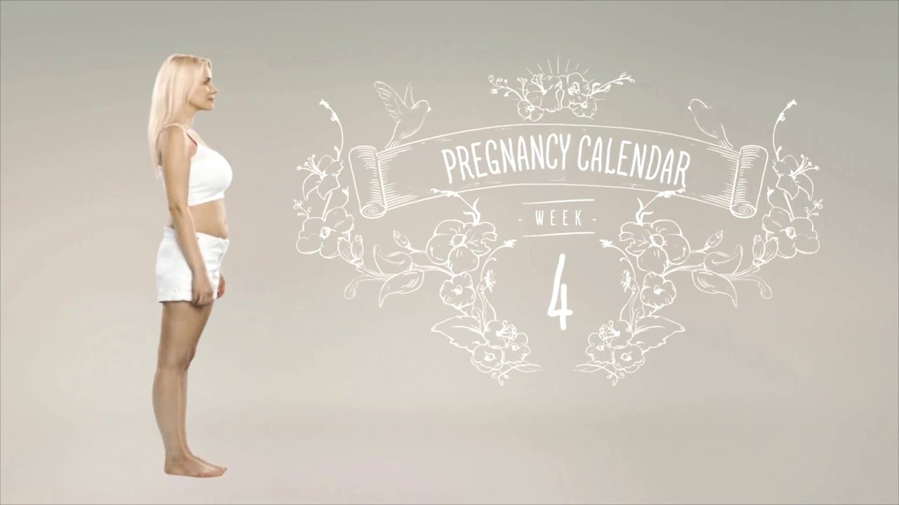 Pregnancy Calendar 4 Weeks Calendar Printables Free Templates