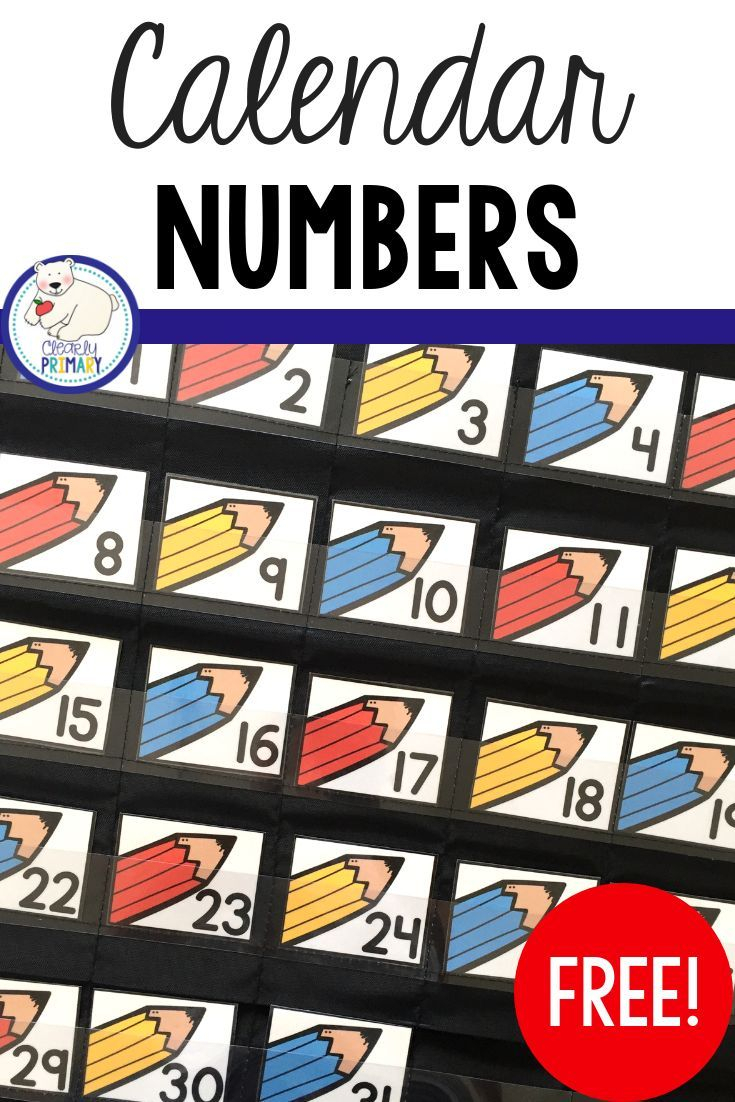 Calendar Numbers Freebie | Calendar Numbers, Kindergarten