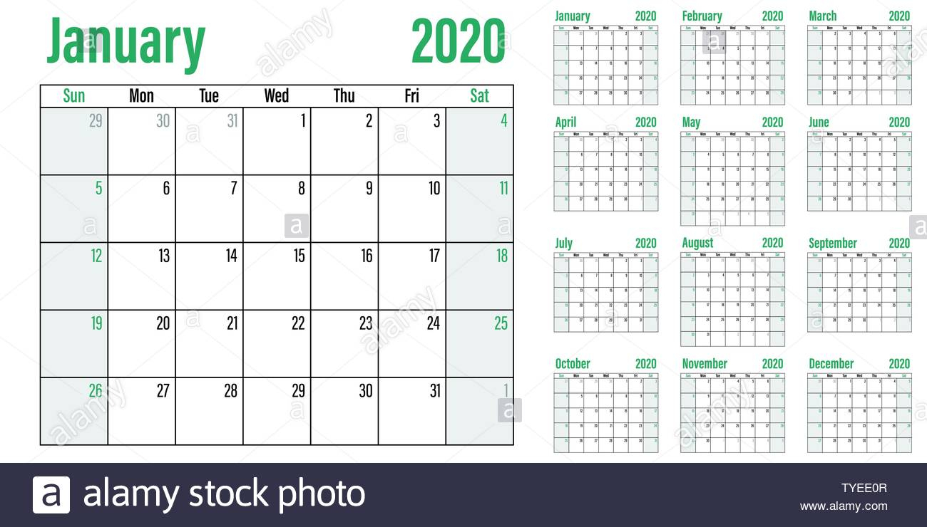 Calendar Planner 2020 Template Vector Illustration All 12