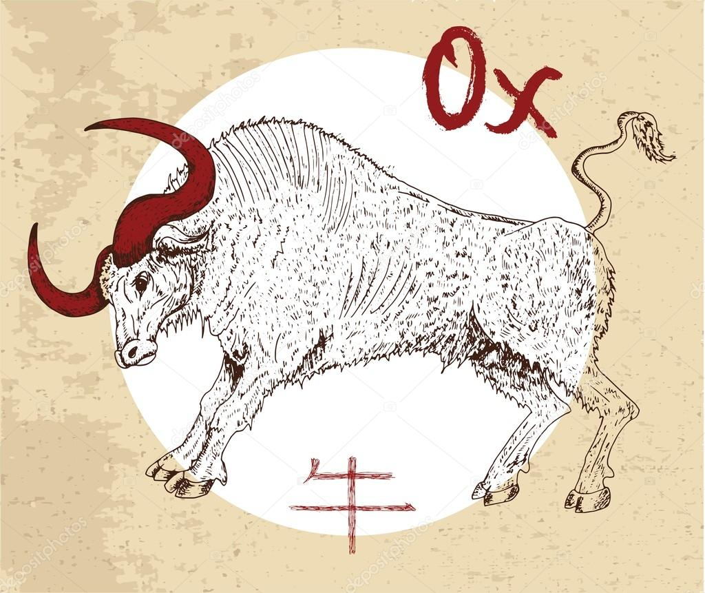 Chinese Zodiac Symbol Of Ox — Векторное Изображение