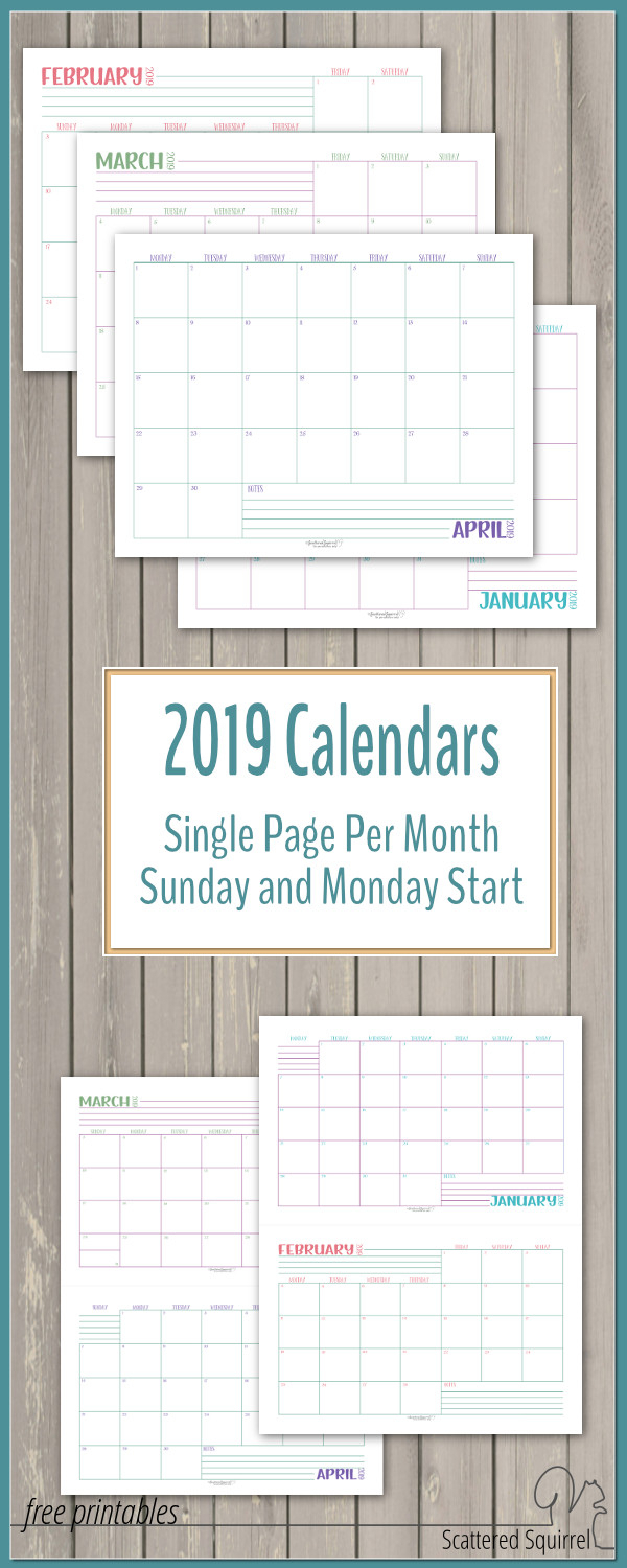 Dated 2019 Calendars Single Page Per Month - Scattered Squirrel