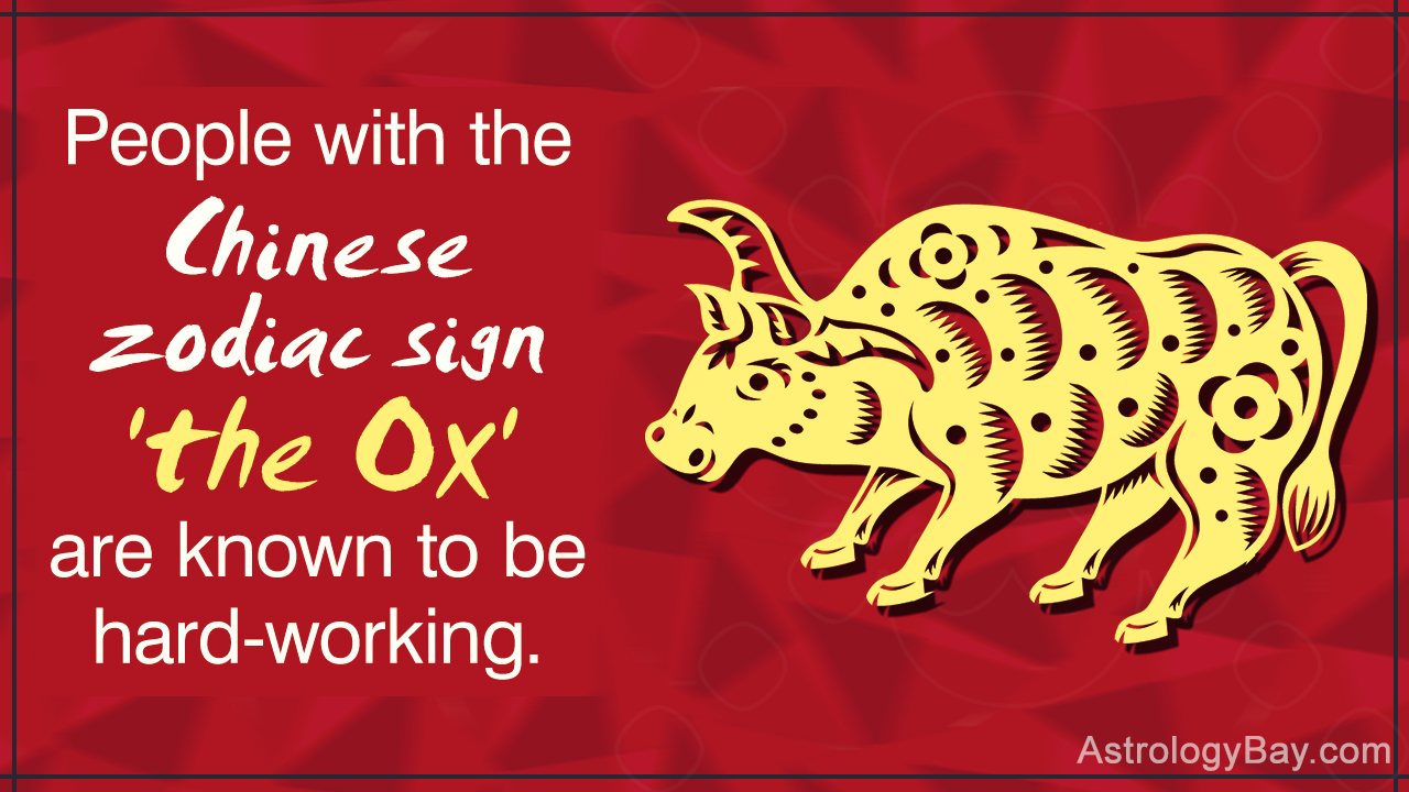 Detailed Information About The Chinese Zodiac Symbols And