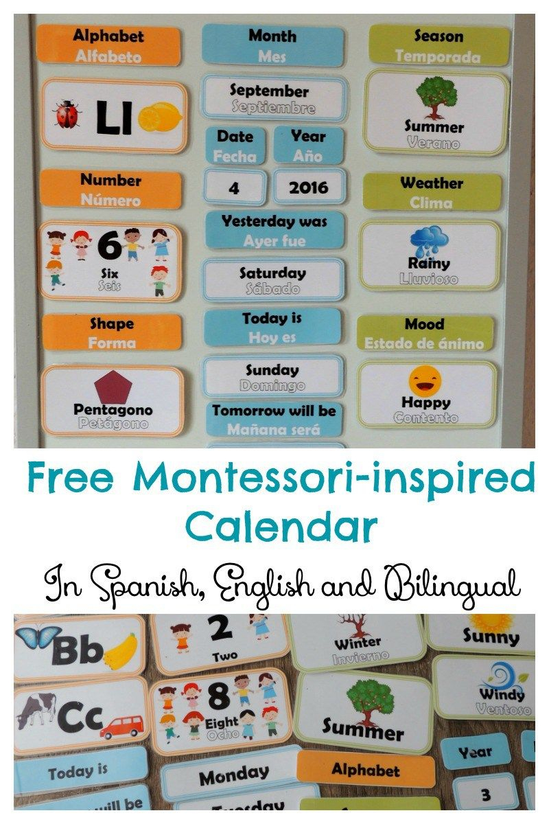 Free Hands-On Bilingual Calendar For Children (English