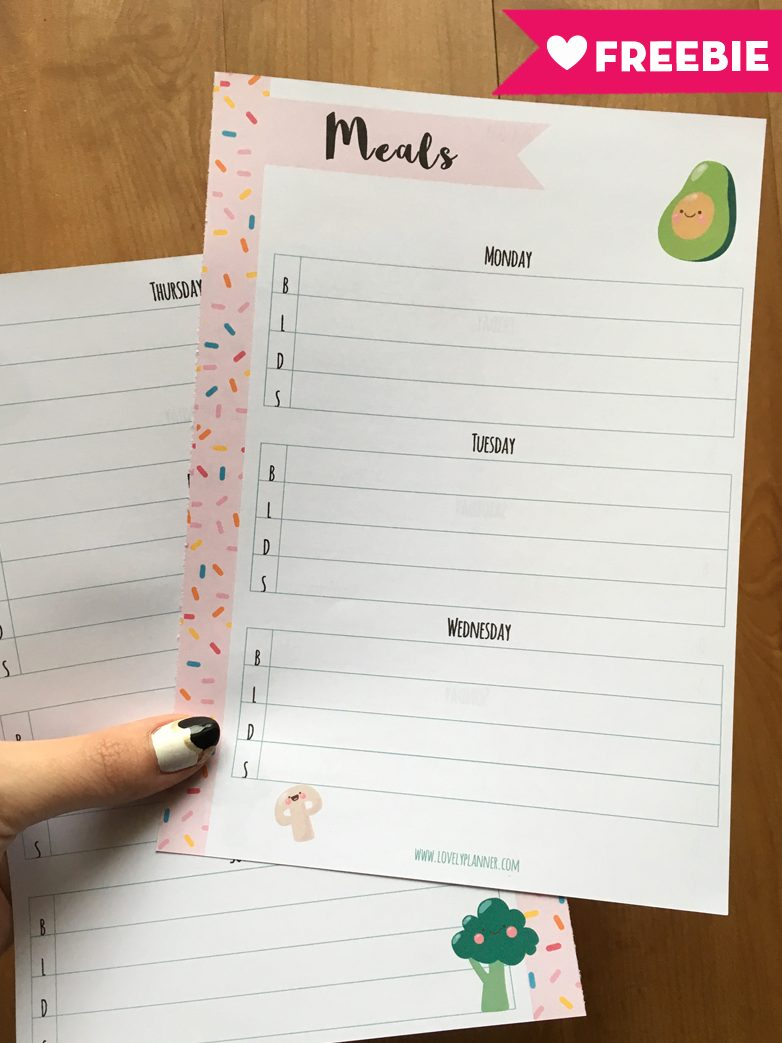 free-printable-calendar-refills-for-planners-calendar-printables-free