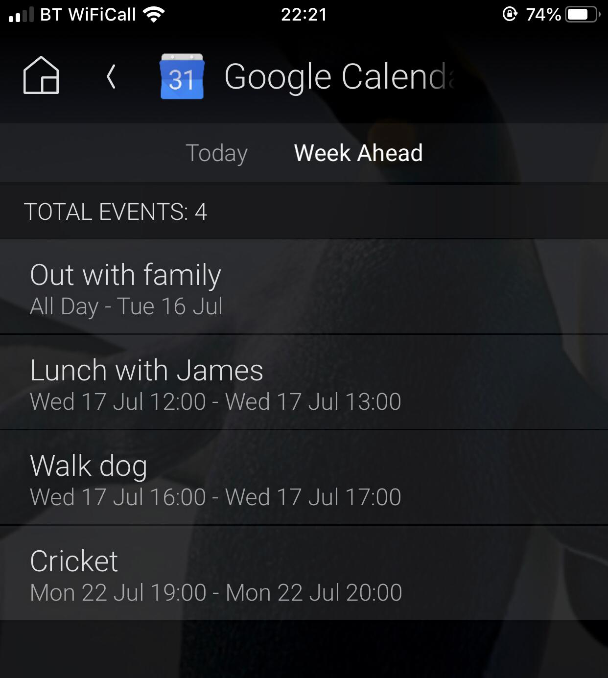 Google Calendar Integration (View Events On Navs, Program