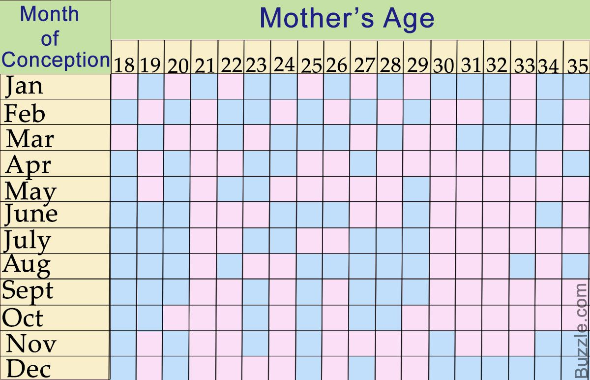 2024 Gender Chart Molly Therese