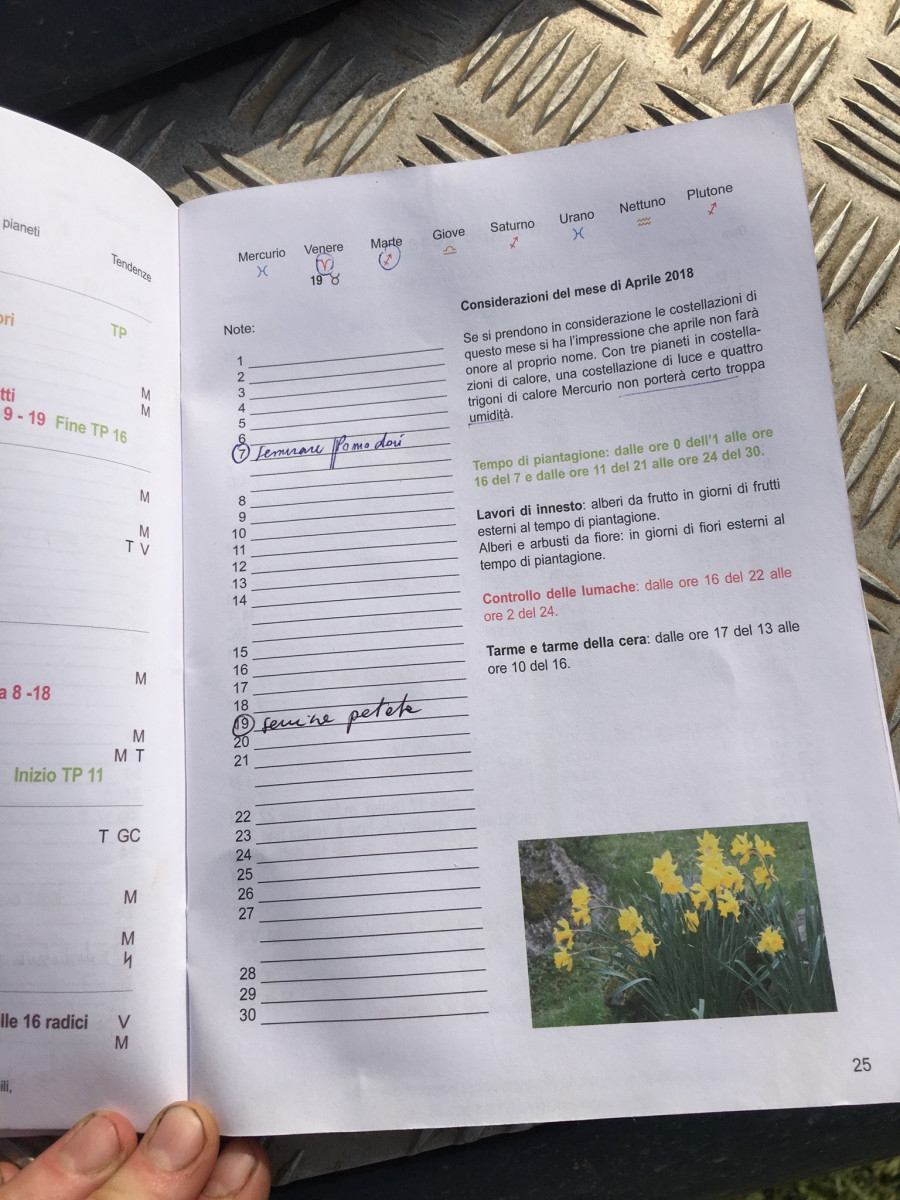 Lunar Calendar Planting – Farming And Food Culture In Italy