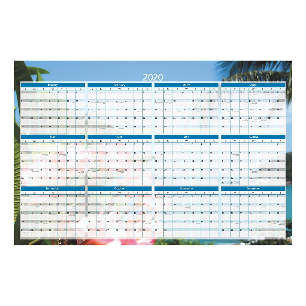 Office Depot® Brand Yearly Erasable Wall Calendar, 36&quot; X 24&quot;, Multicolor,  January To December 2020, Od303228