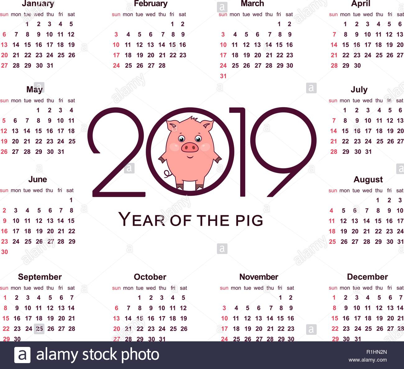 Pig Calendar For 2019. Symbol Of The Year In The Chinese