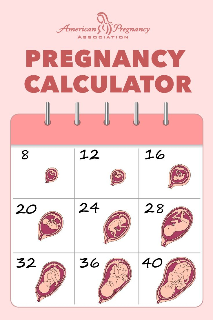 conception month to due date month