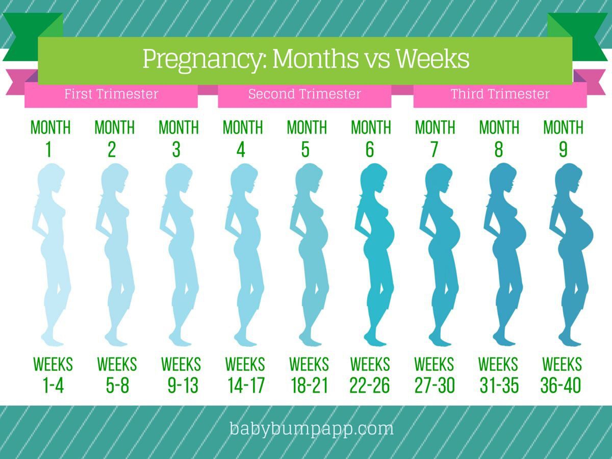 dog due date calculator