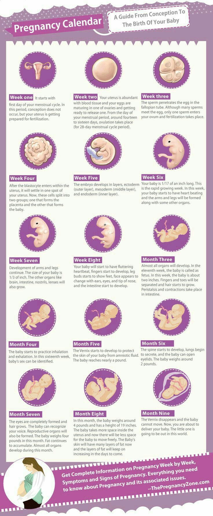 Pin On Pregnancy Awareness And Tips