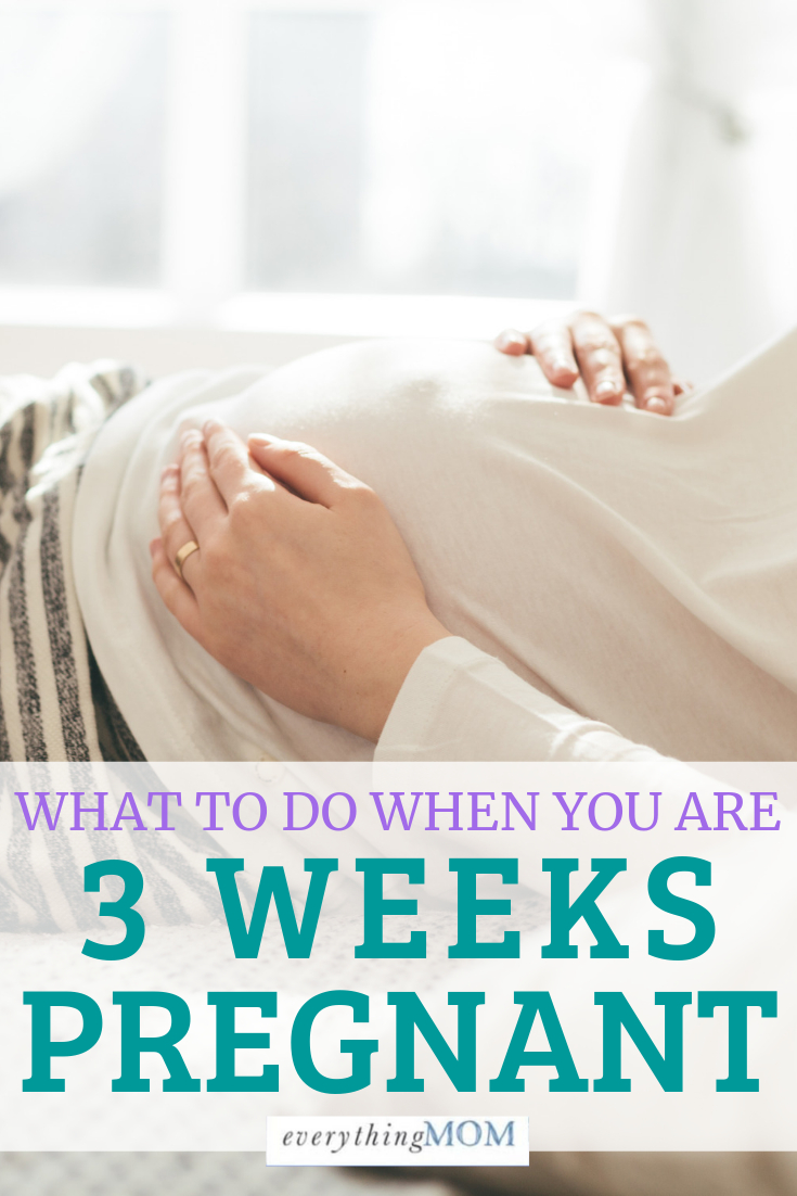 Pin On Pregnancy Calendar (Your Pregnancy From Week 1 To