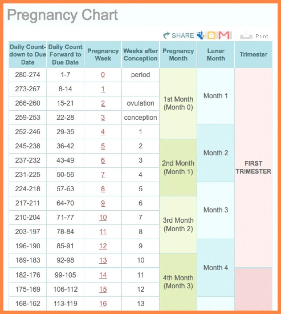 Pregnancy Calendar Week By Week Based On Due Date