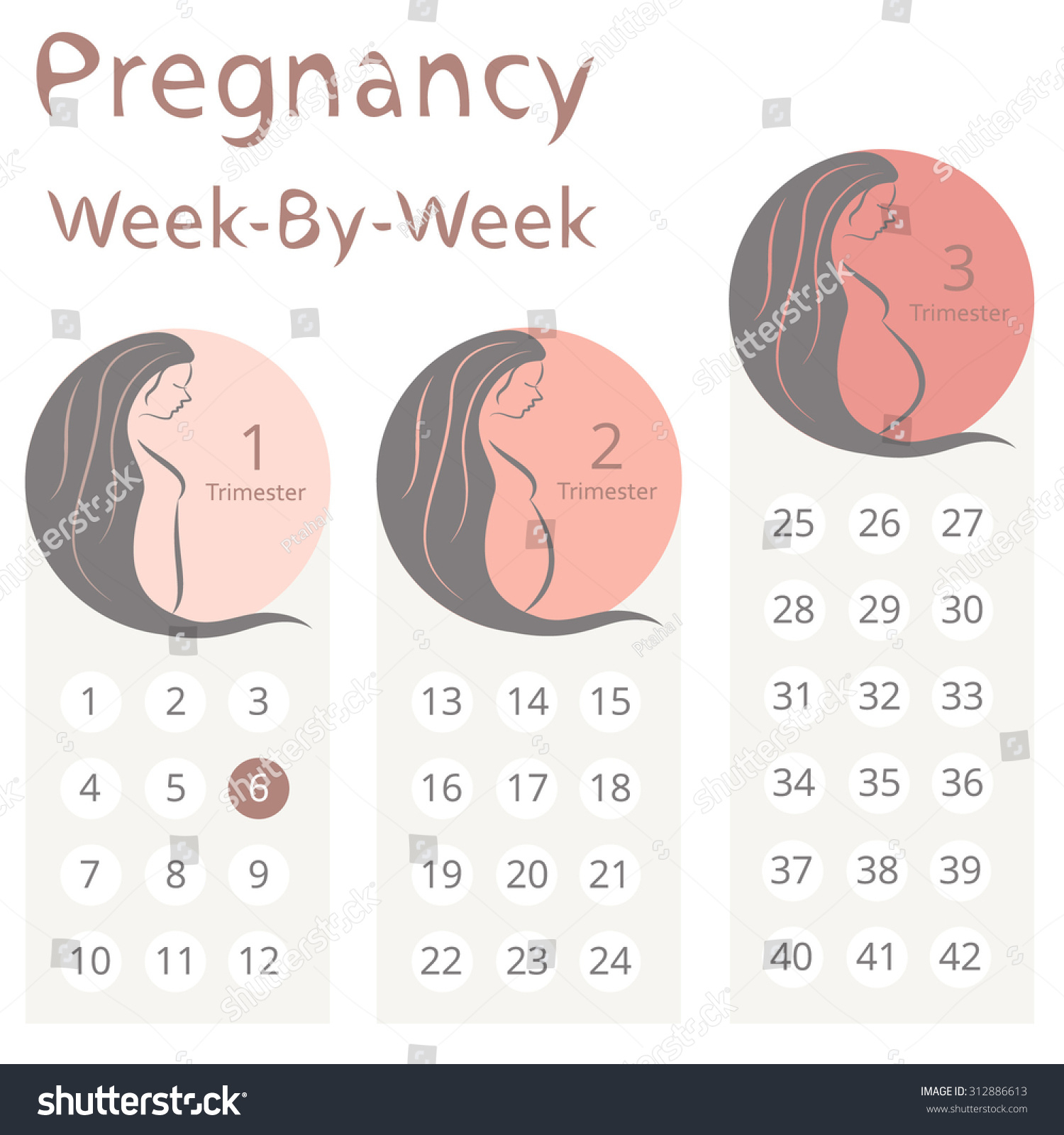 Pregnancy Calendar Week To Week - Emmy Norrie