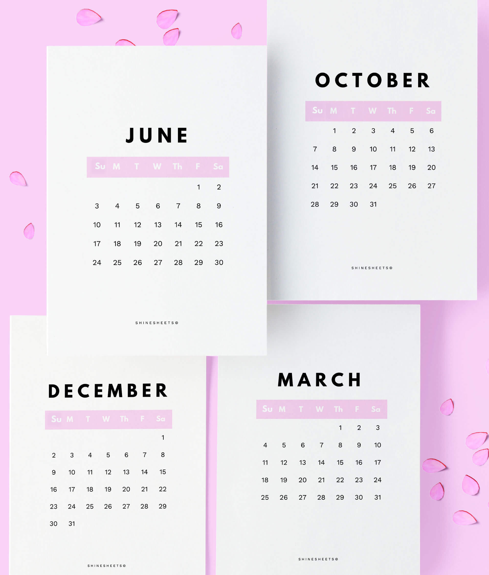 2020 Calendar With Sunday Week Start / 12 Pages | Shinesheets