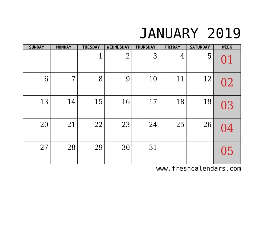 9 Printable January 2019 Templates | 2020 Calendar