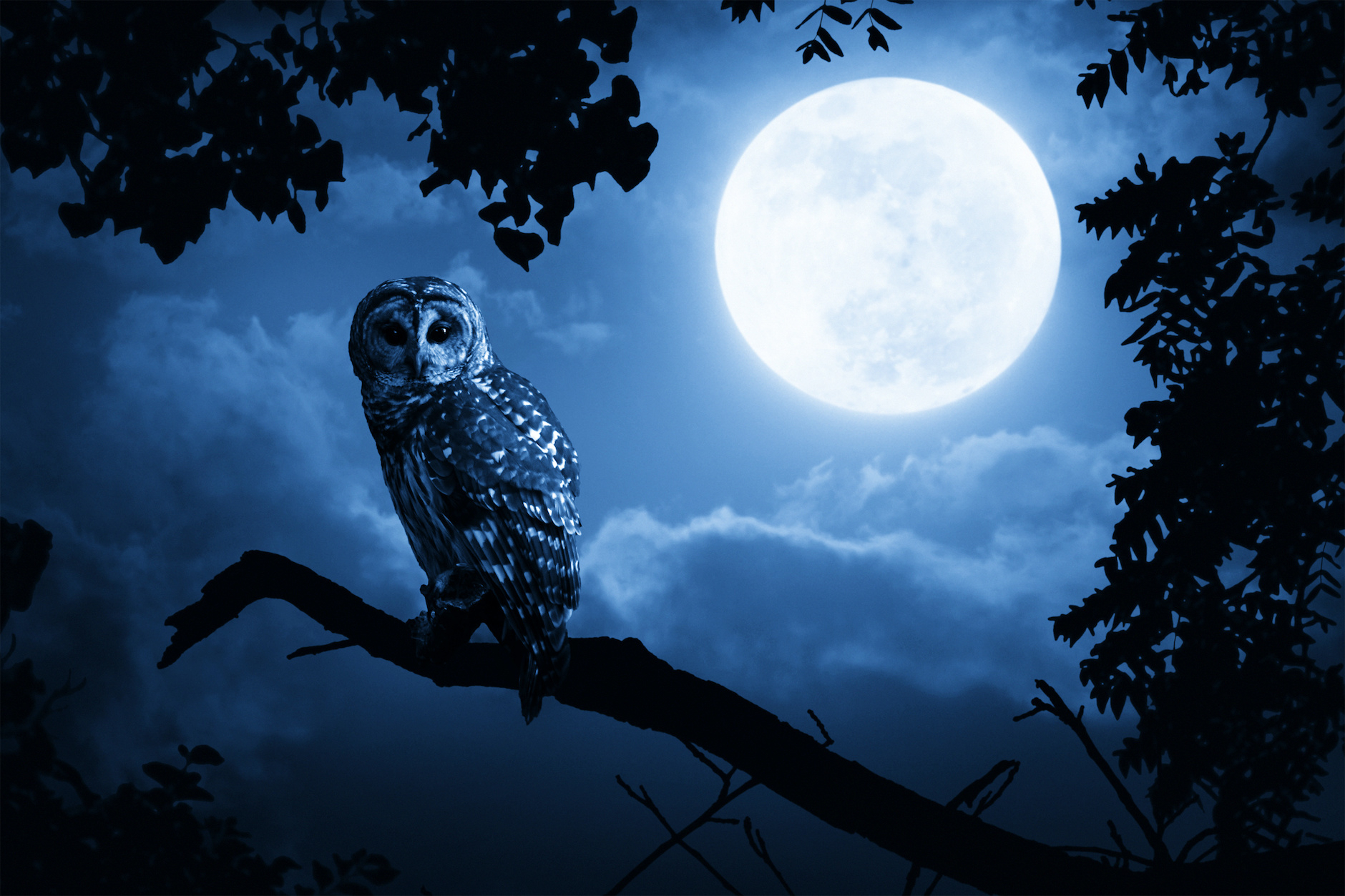 A Rare Halloween Blue Moon In 2020 - Mark Your Calendars