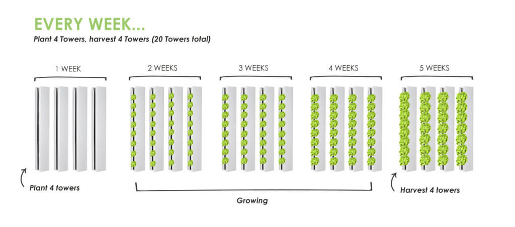 Farmer Tip #1 - How To Make A Planting Schedule - Upstart