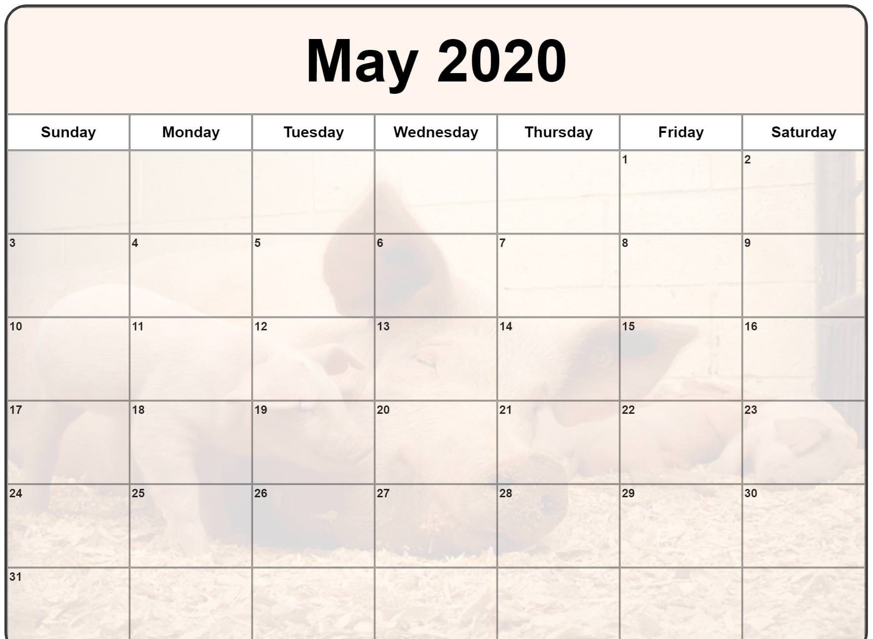 May 2020 Calendar With Holidays | Best Calendar Template