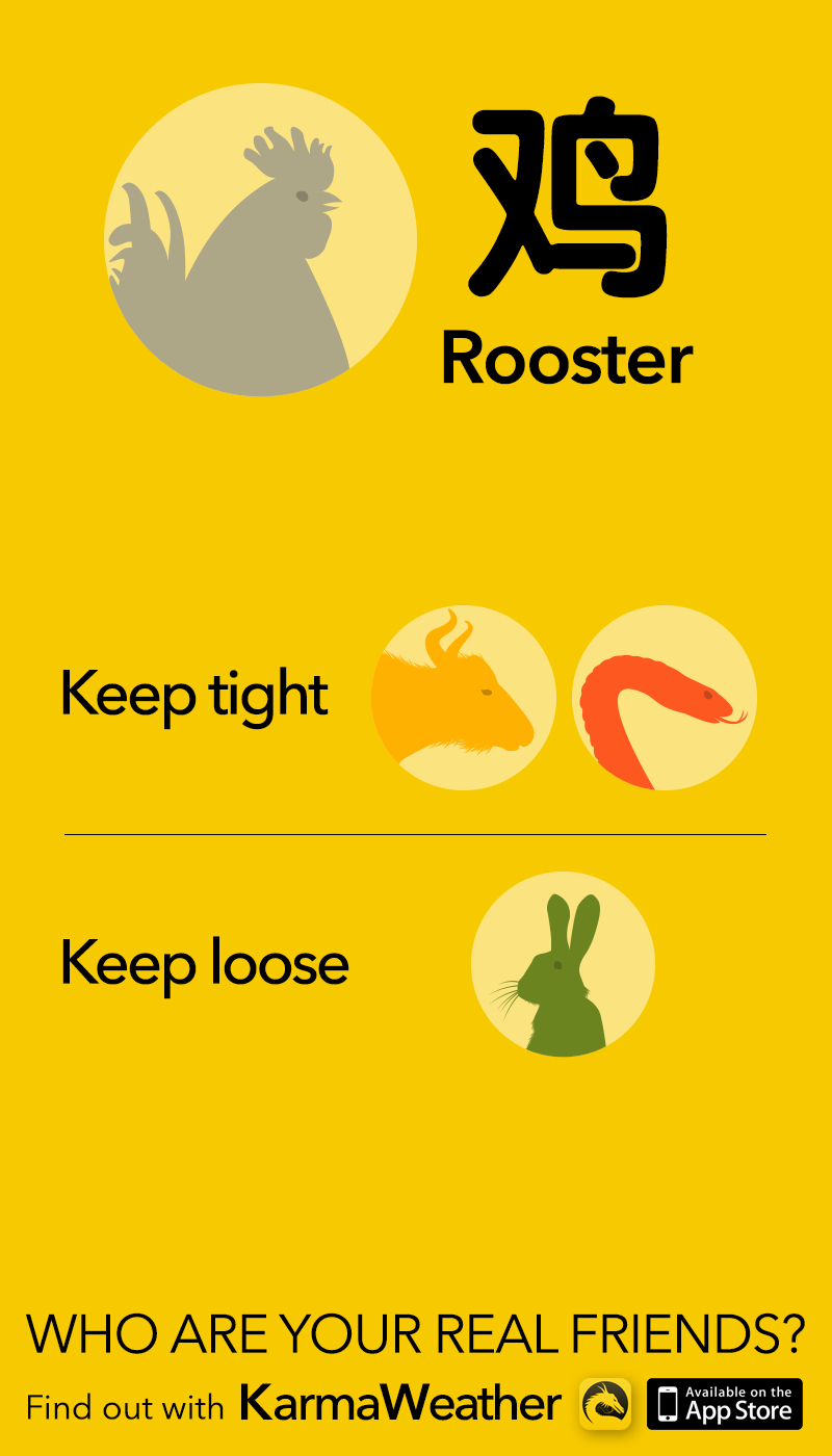 Rooster 鸡 - Sign Compatibility - Chinese Astrology Tips #