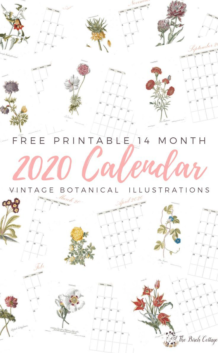 2020 Printable Monthly Calendar With Vintage Botanical Art