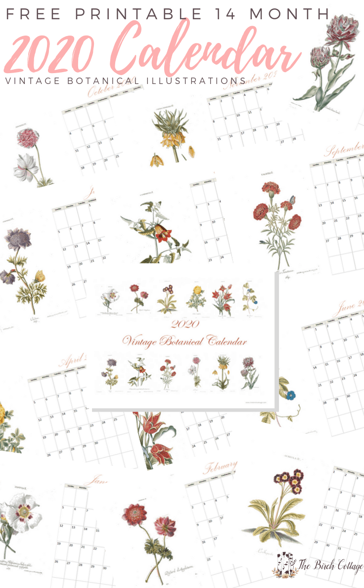 2020 Printable Monthly Calendar With Vintage Botanical Art