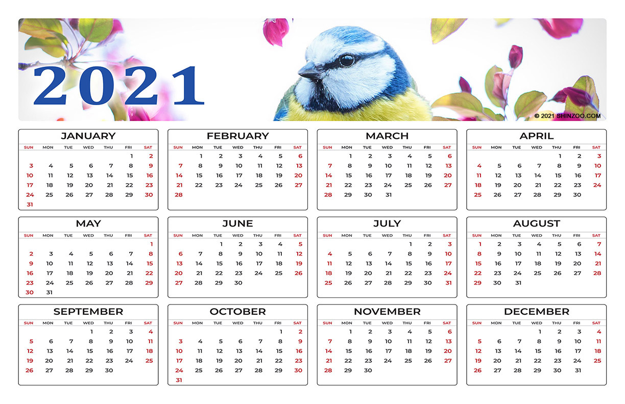 Beautiful Spring Bird On A Branch: 2021 Calendar 11X17