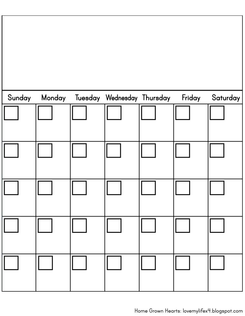 Blank Calendar | First Grade Calendar Calendar Math
