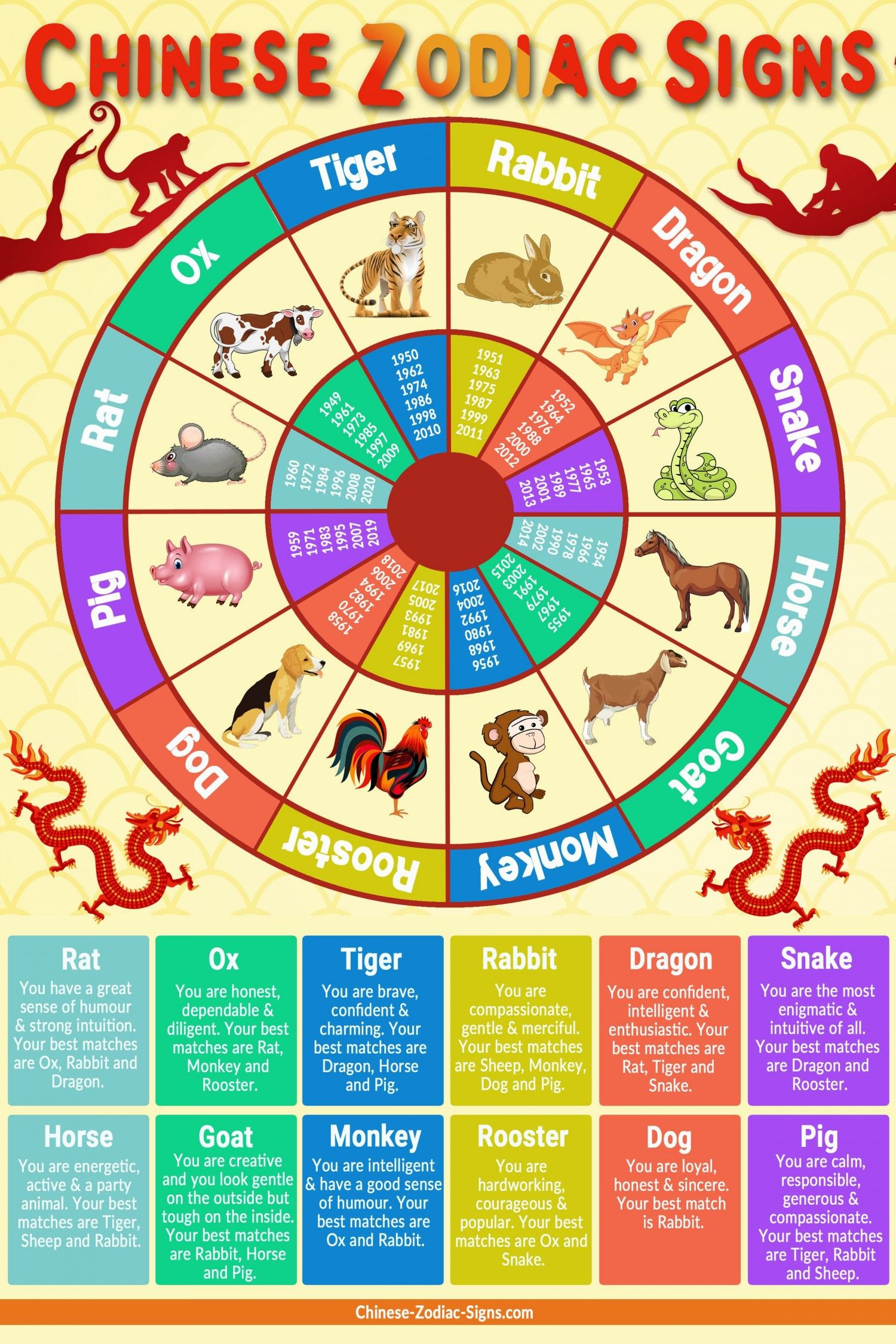 Chinese Zodiac Signs Infographic | Chinese Zodiac Signs