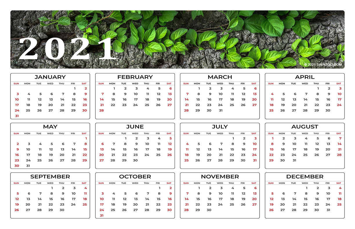 Wild Green Leaves On A Tree Branch: 2021 Calendar 11X17