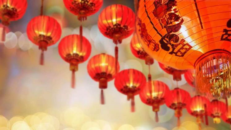 Chinese New Year 2019 - Features Latest Top Stories