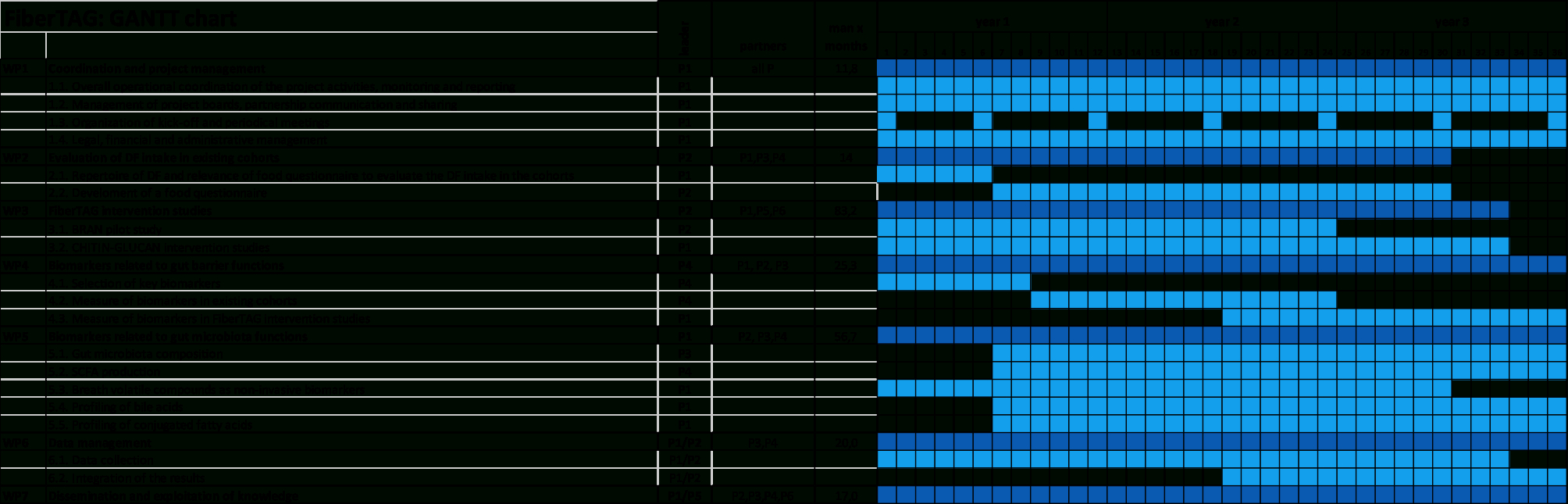 Gantt Chart - Fibertag