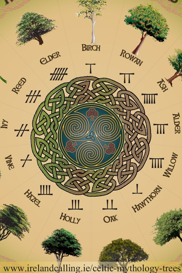 Trees In Celtic Mythology: Trees Were Hugely Significant